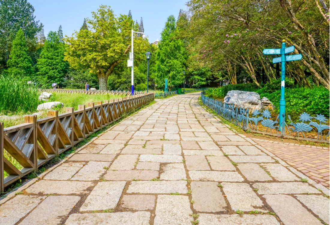 Inexpensive Driveway Ideas