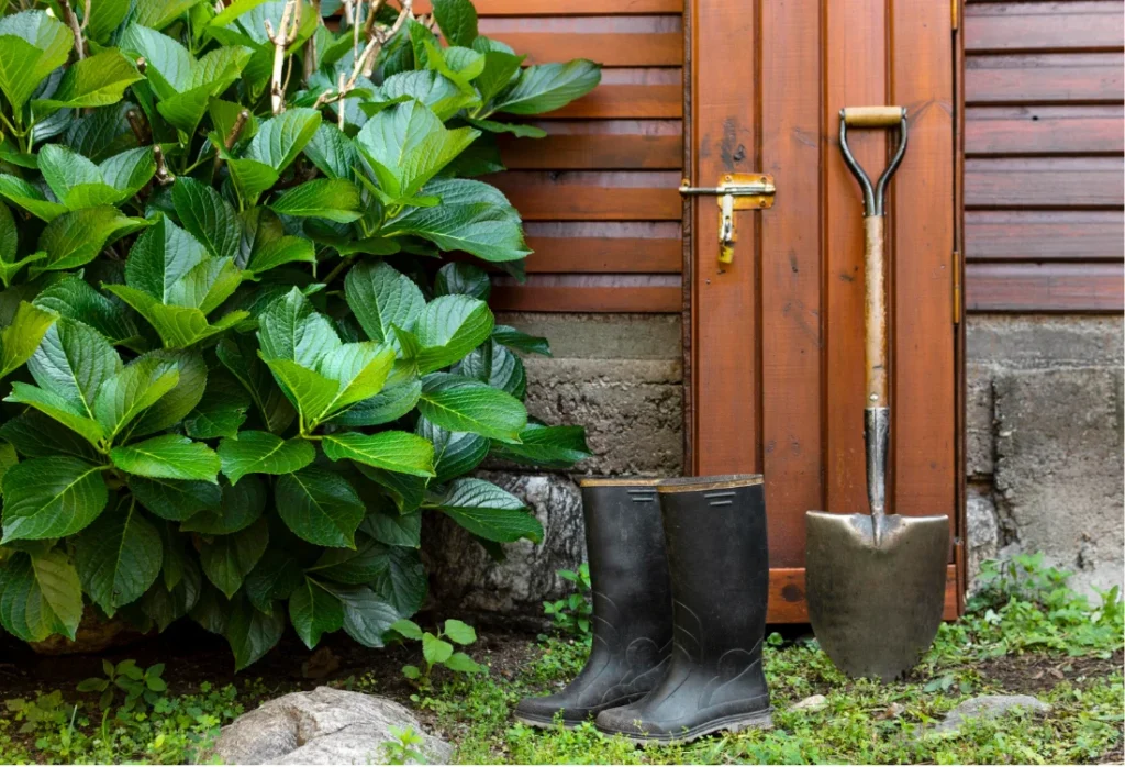 Low Maintenance Front Yard Landscaping