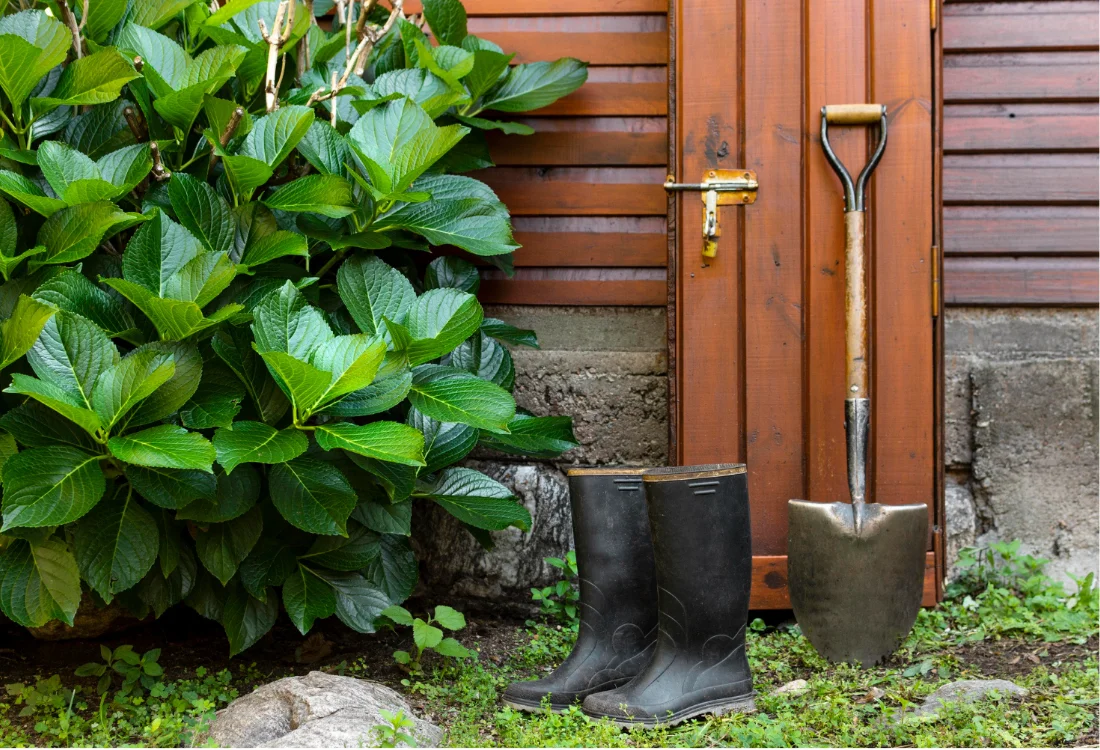 Low Maintenance Front Yard Landscaping