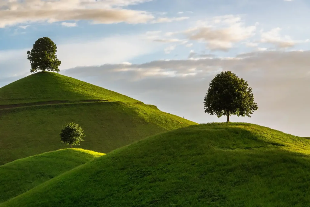 KDArchitects Landscape Ideas From Morph